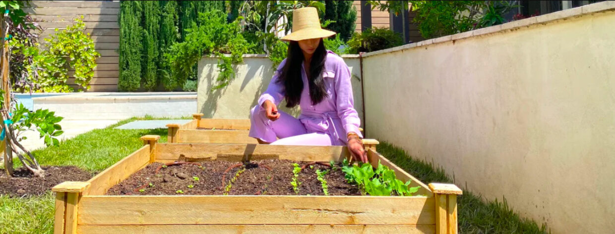 The Freedom Garden Initiative Is Giving New Meaning To Victory Gardens | 1