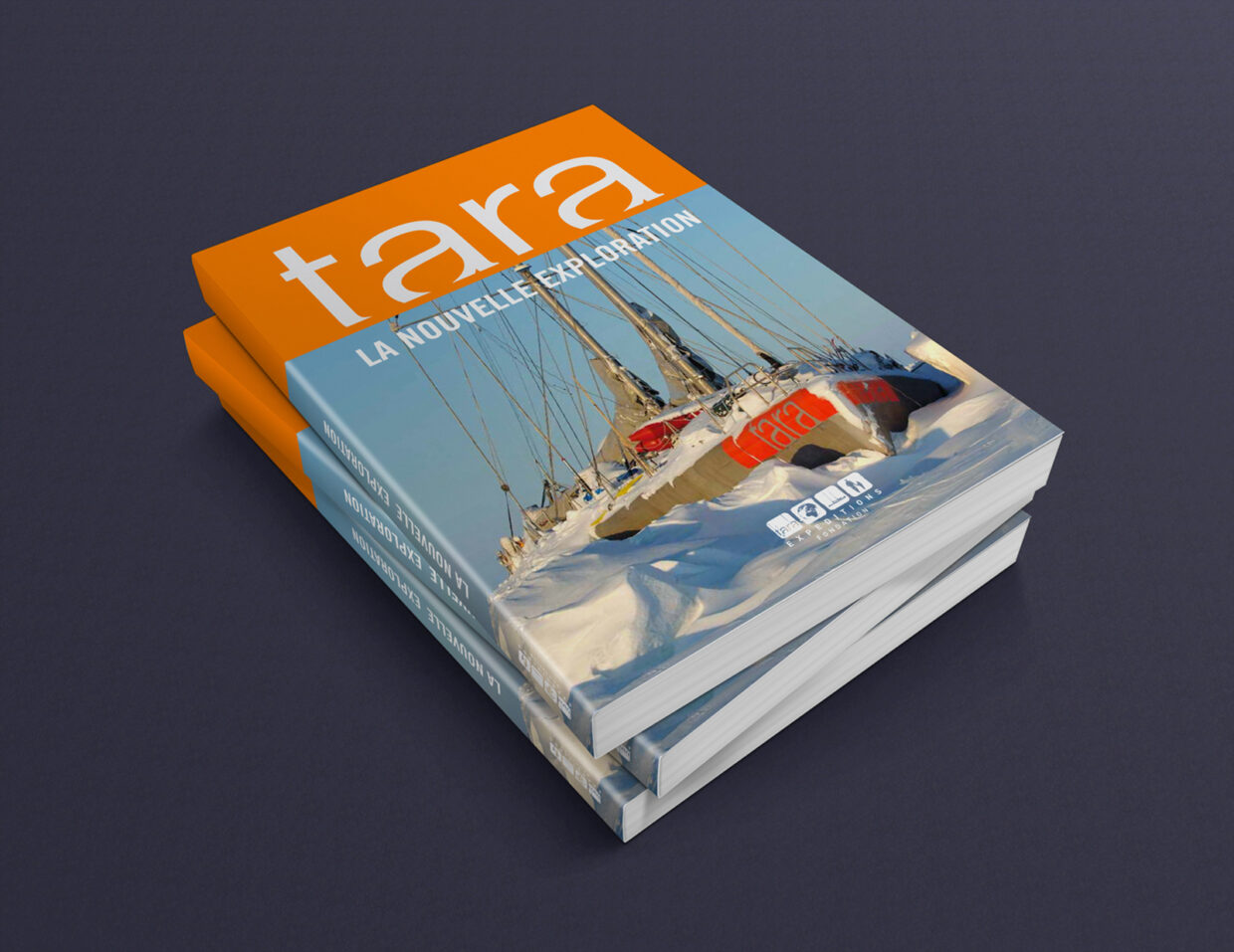Aurore de La Morinerie: Artist-in-residence aboard Tara | 2