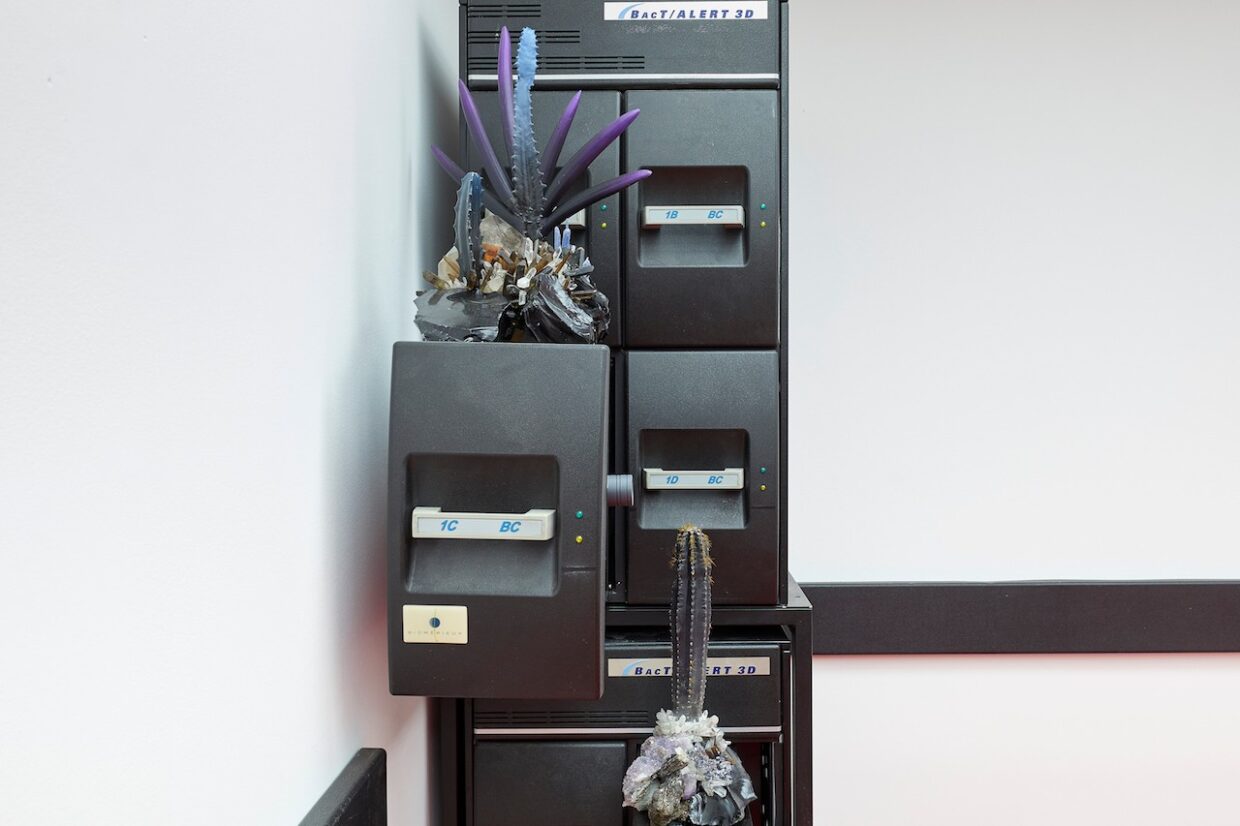 Jonah Freeman & Justin Lowe Present Alternate Environments in Immersive London Installation | 10